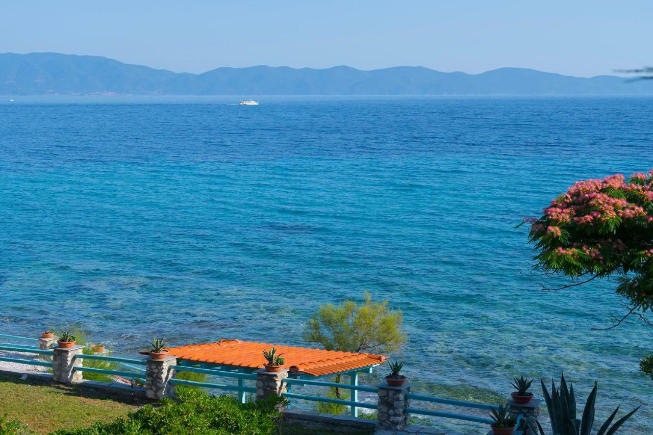 Kiparissi Villa Halkidiki อิเอริสโซส ภายนอก รูปภาพ